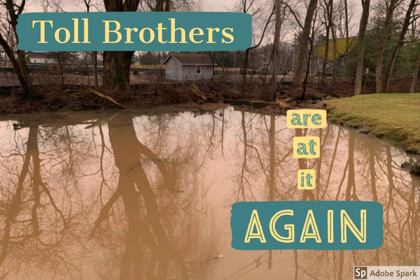 Toll Brothers Orchard Ridge [Preserve] - The Environmental Damage Continues