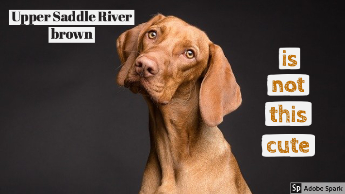Upper Saddle River Brown